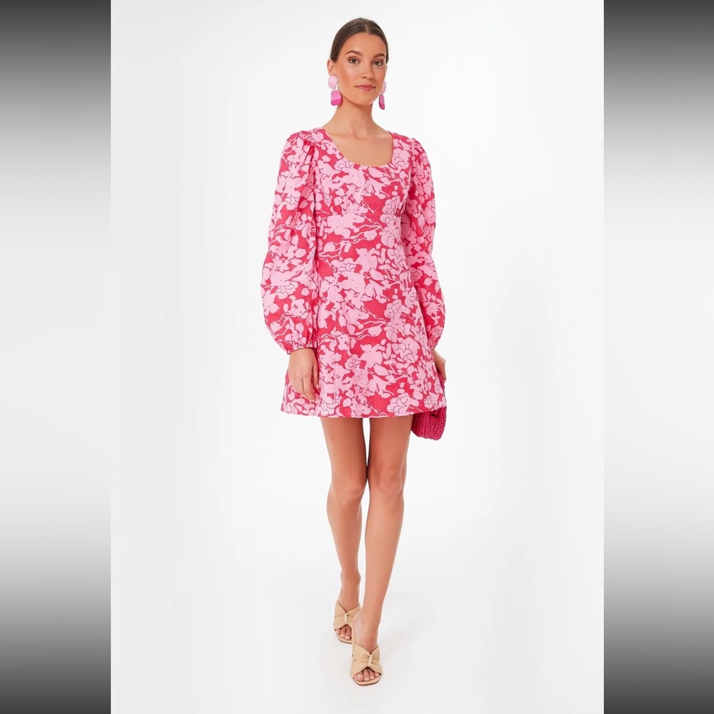Pink Tuckernuck long sleeve dress
